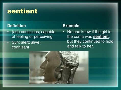 sensient definition|sentience definition.